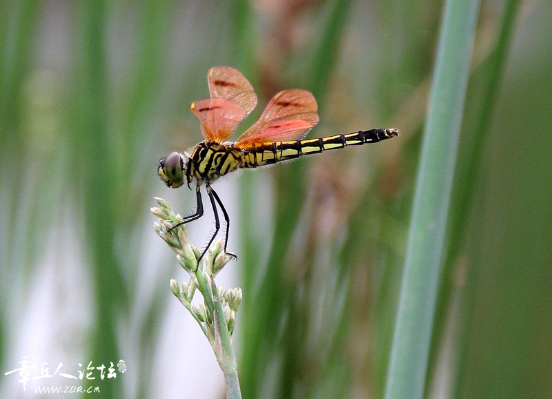 IMG_0360_副本.jpg