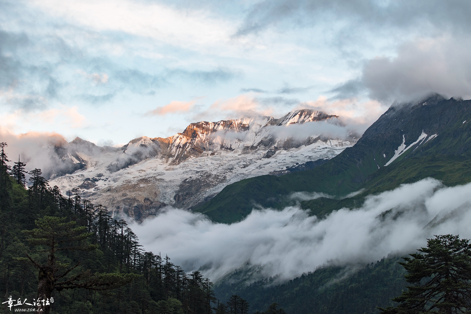 DSC_6293.jpg