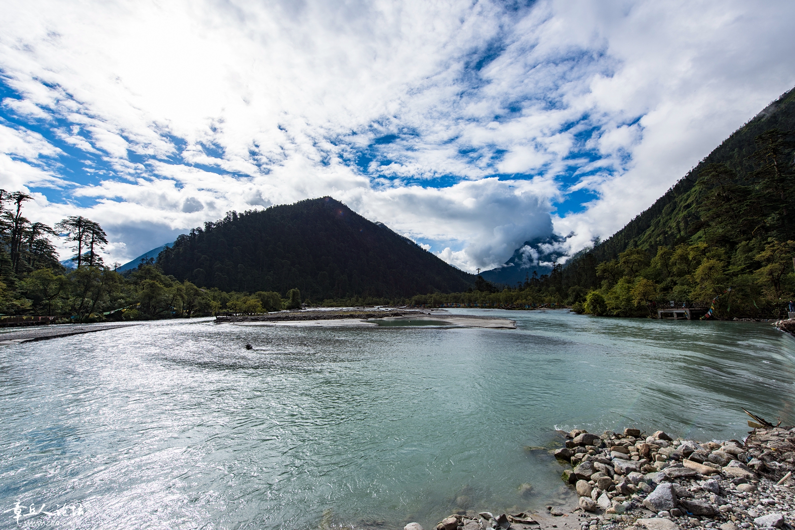 DSC_5983.jpg