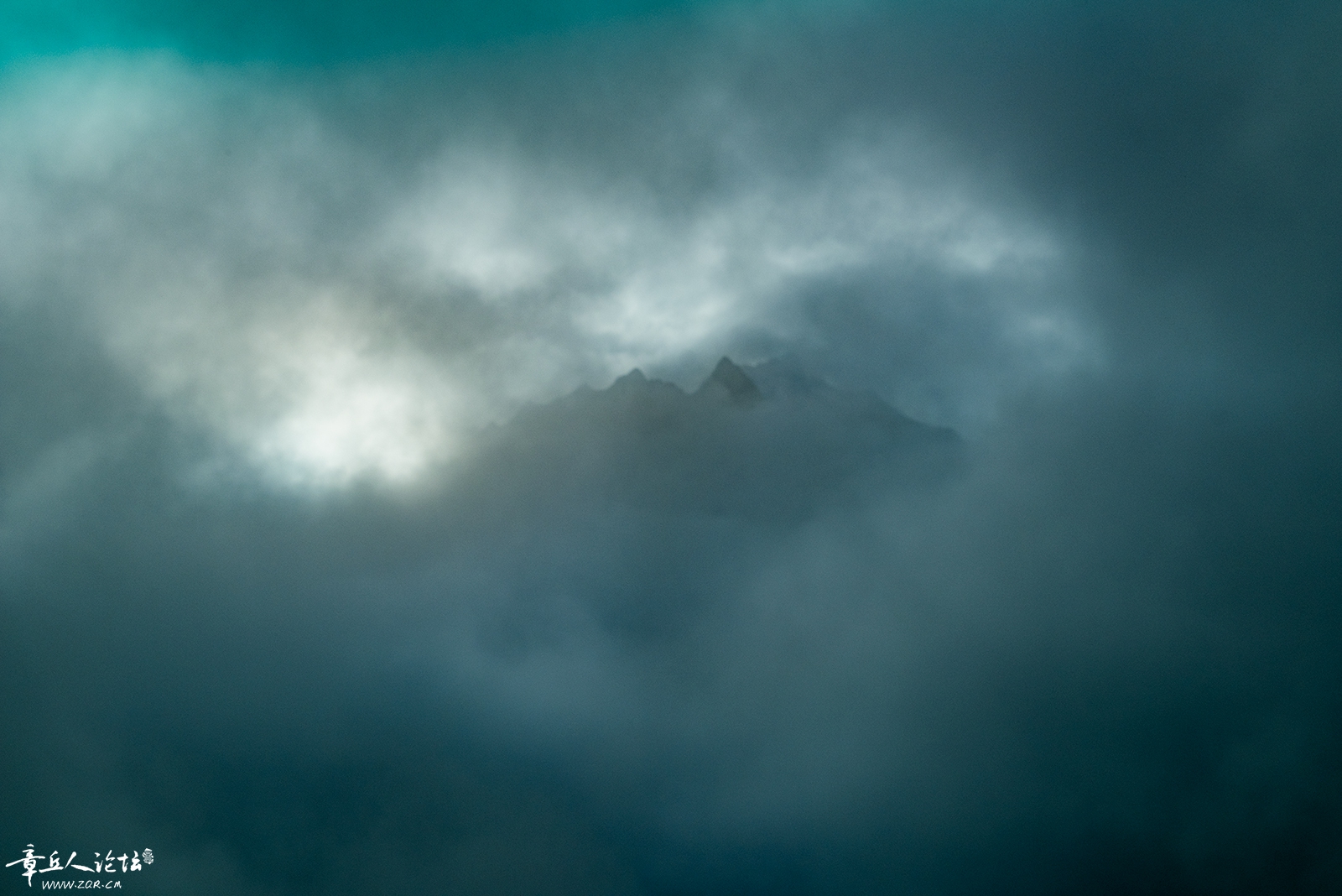 DSC_5636.jpg