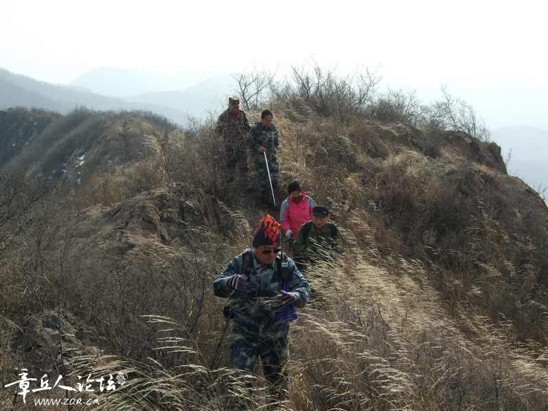 户外照片 111.jpg