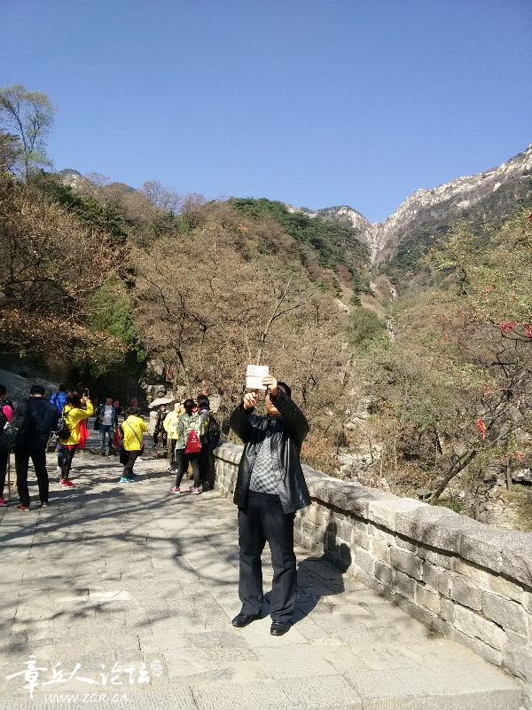 IMG_20161030_104145.jpg