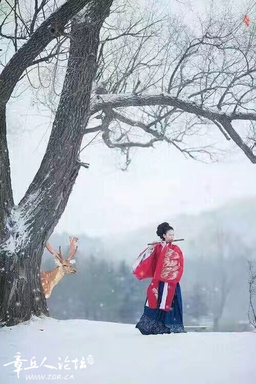 QQ图片20161219195136.jpg