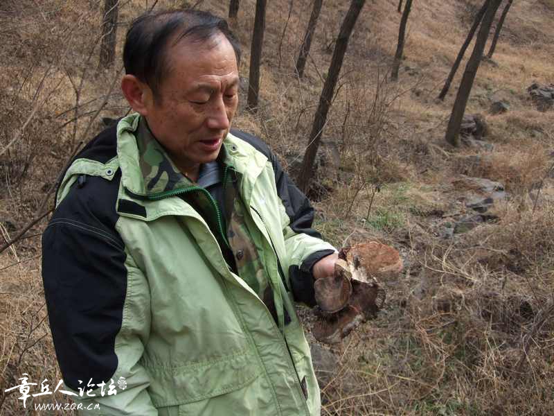 鹤伴山、2016、12、17 032.jpg