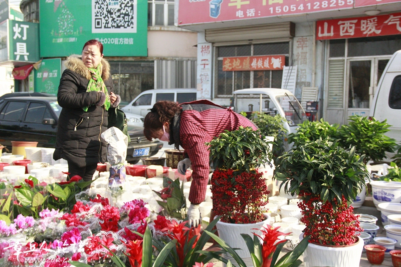 _MG_2604_副本.jpg