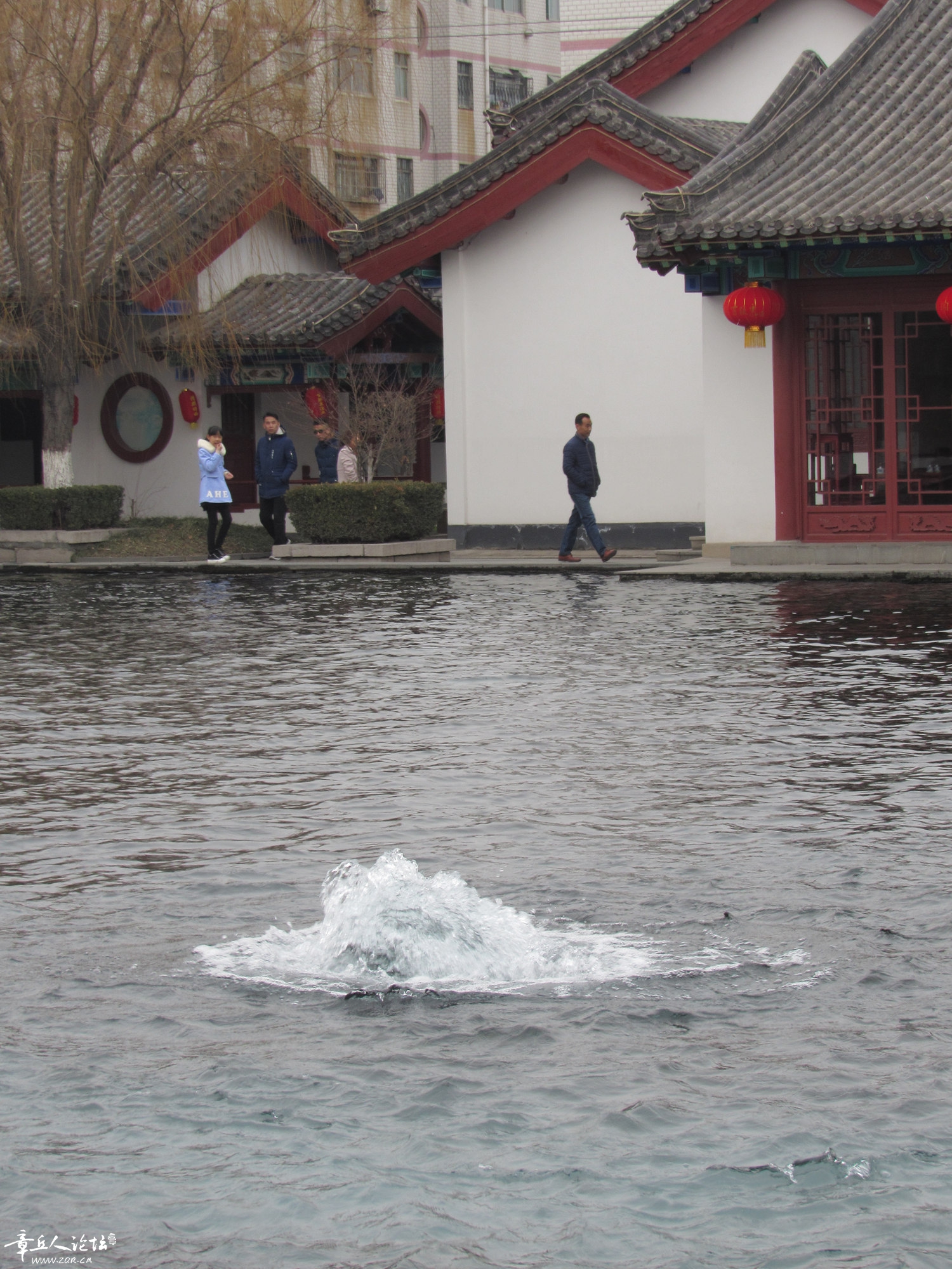 IMG_3020_副本.jpg