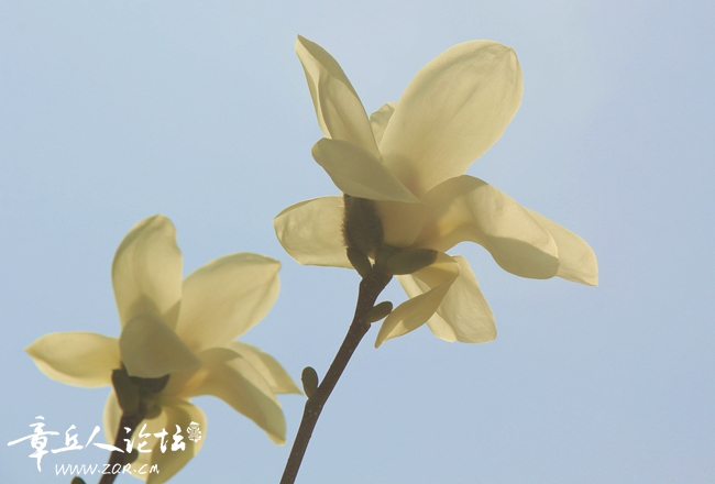 _MG_8991_副本.jpg