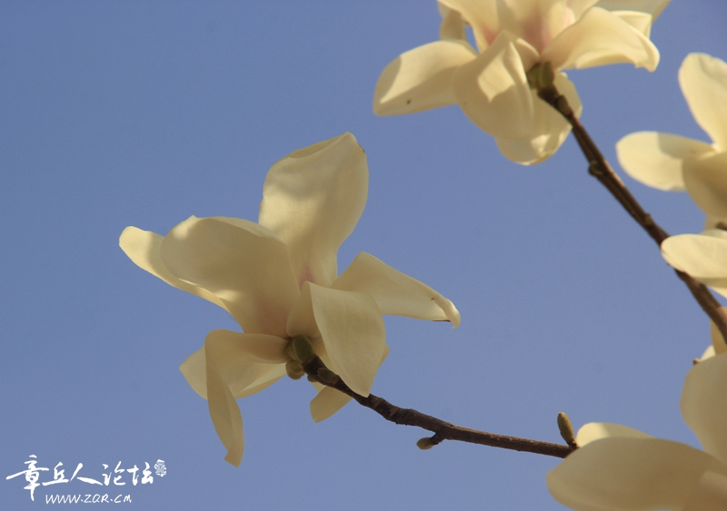 _MG_8995_副本.jpg