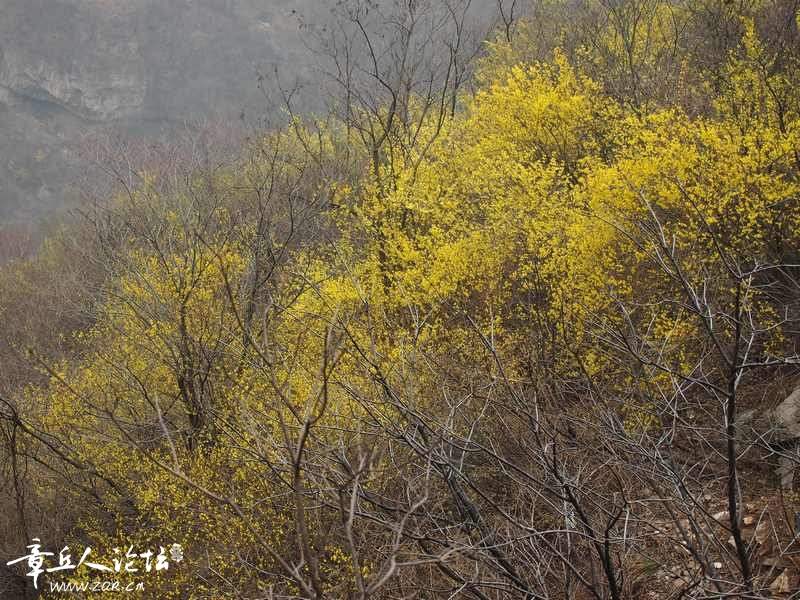 照片 078.jpg