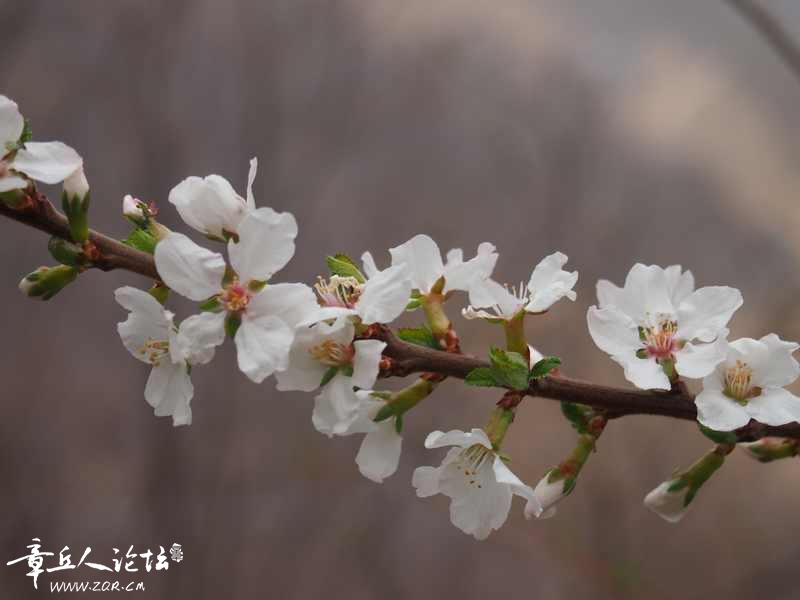 照片 124.jpg