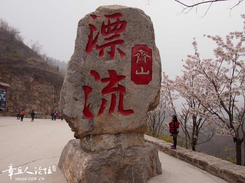 照片 137.jpg