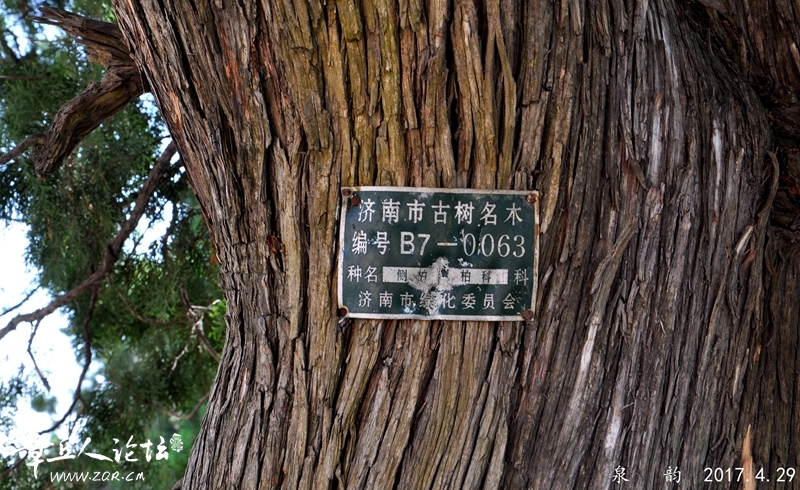 DSC_0097.jpg
