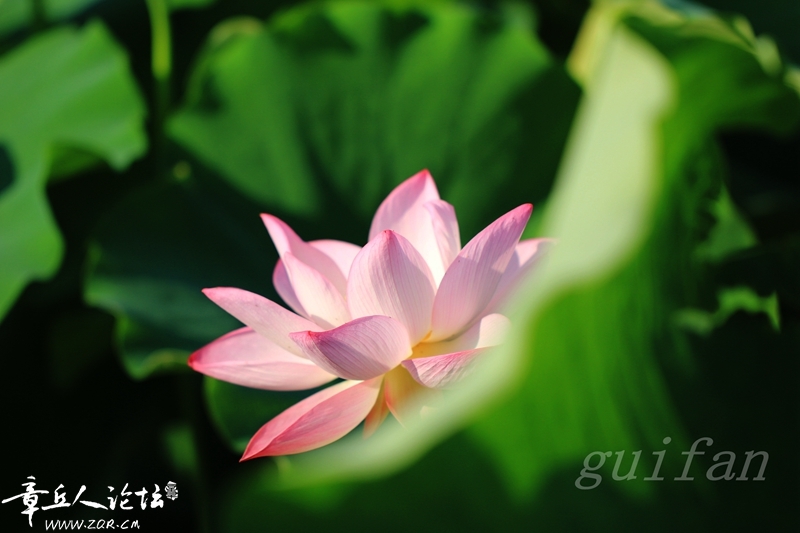 IMG_0604_副本.jpg