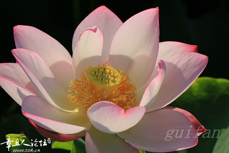 IMG_0610_副本.jpg