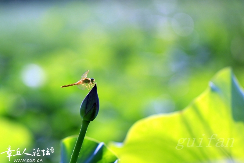 IMG_0625_副本.jpg