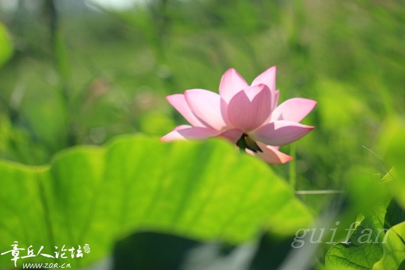 IMG_0631_副本.jpg