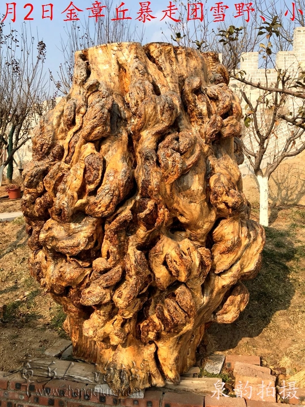 微信图片_20171202171356.jpg