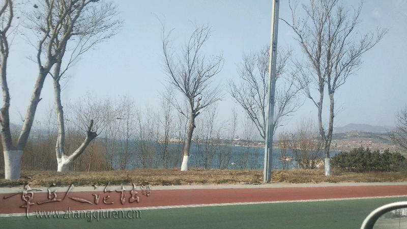 IMG_20171224_140523.jpeg