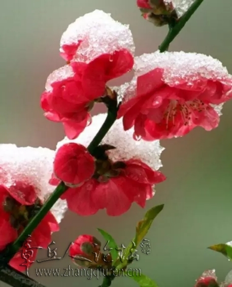 webwxgetmsgimg(24).jpg