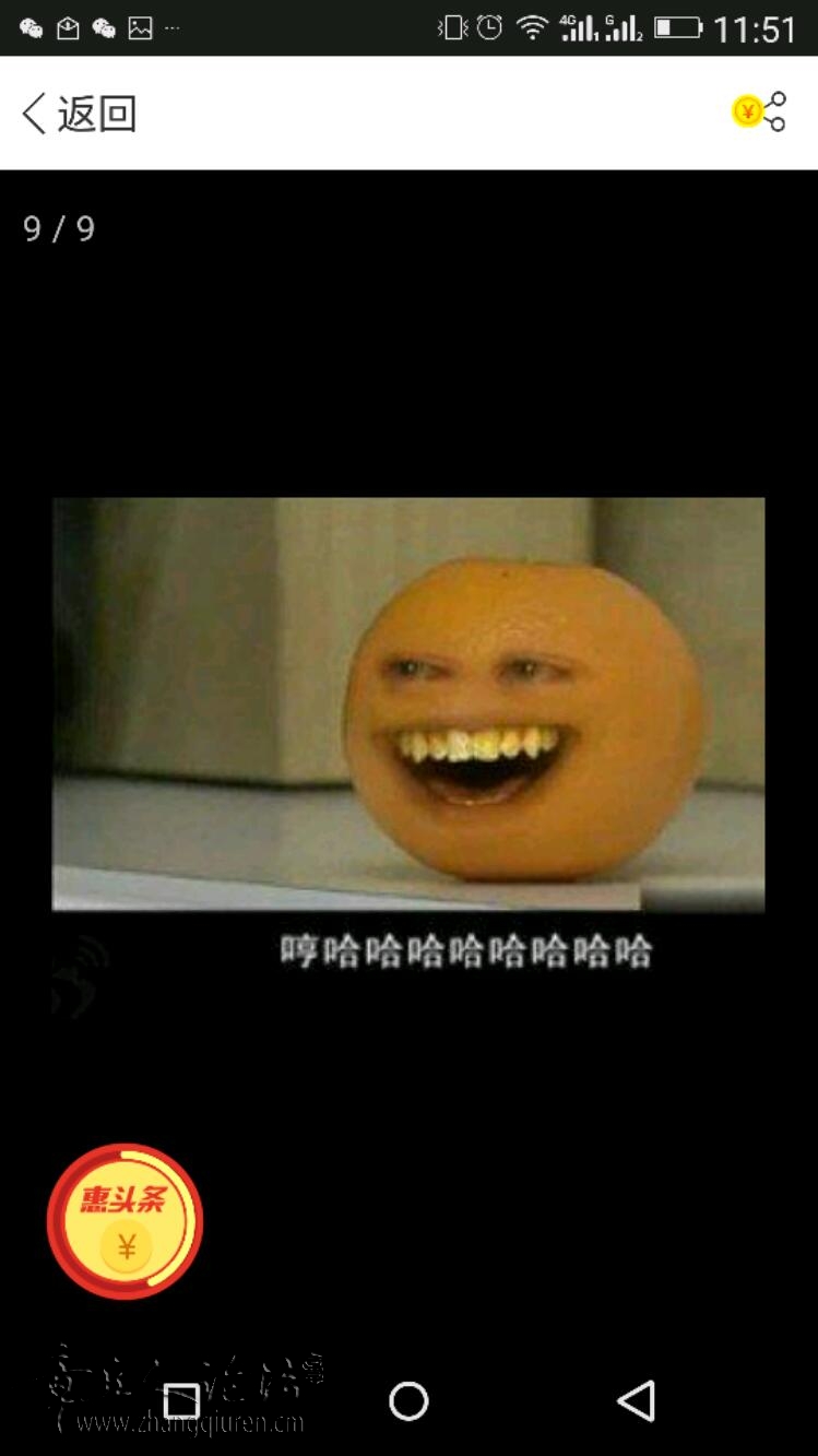 4p8H8L74L7JV.jpg