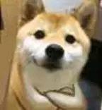 2TnteUlL6tF9.jpg