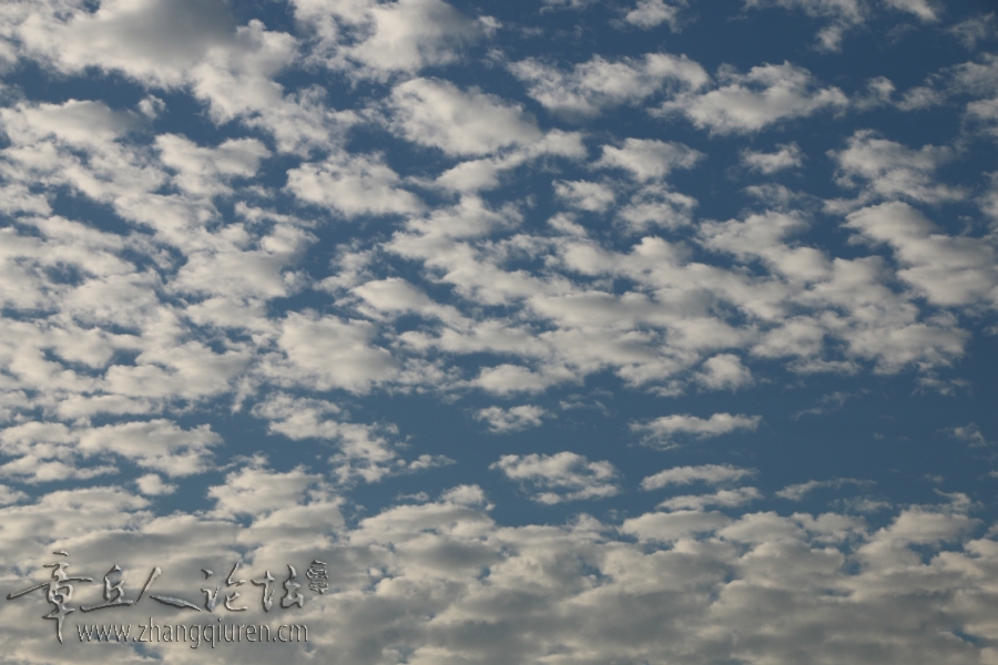 092300me65mbo4828d50ad.jpg