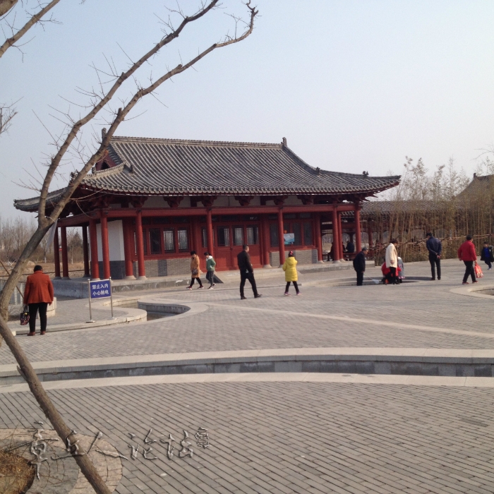 204410zd323yyap3hiasph.jpg