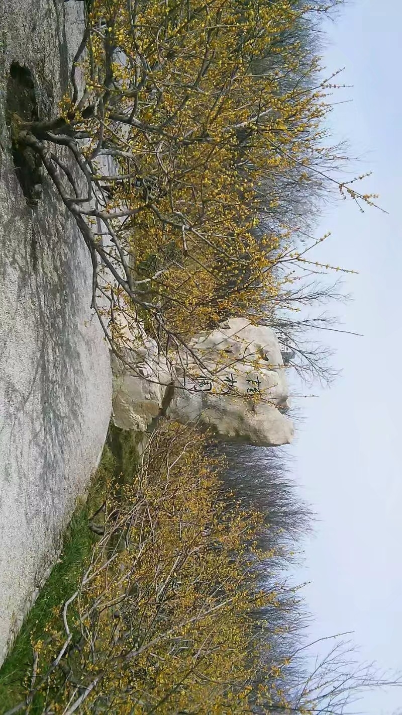 1519105120876.jpeg