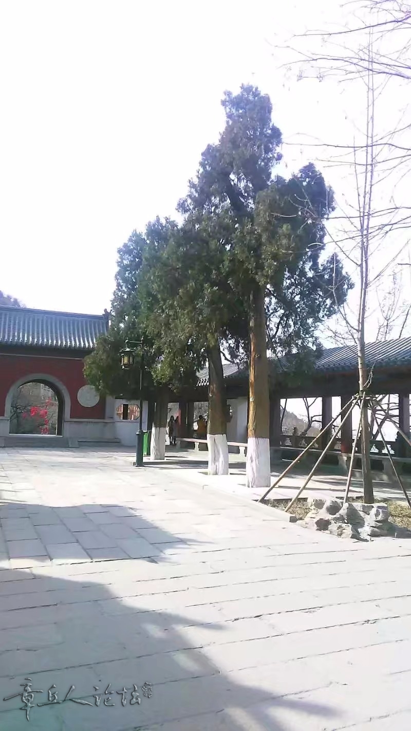 1519105102588.jpeg