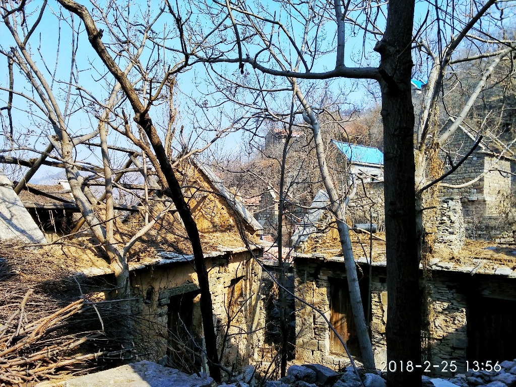 IMG_20180225_135625-01.jpeg