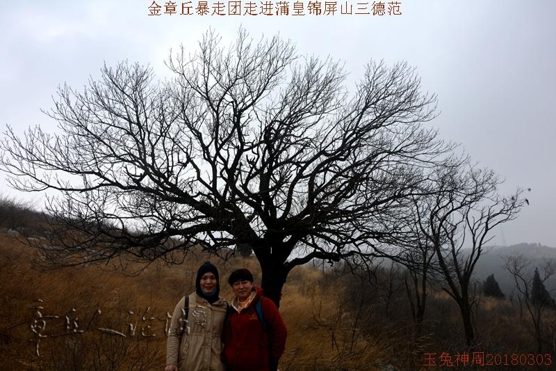微信图片_2018030608575530.jpg