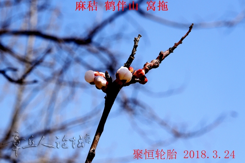IMG_9143.JPG