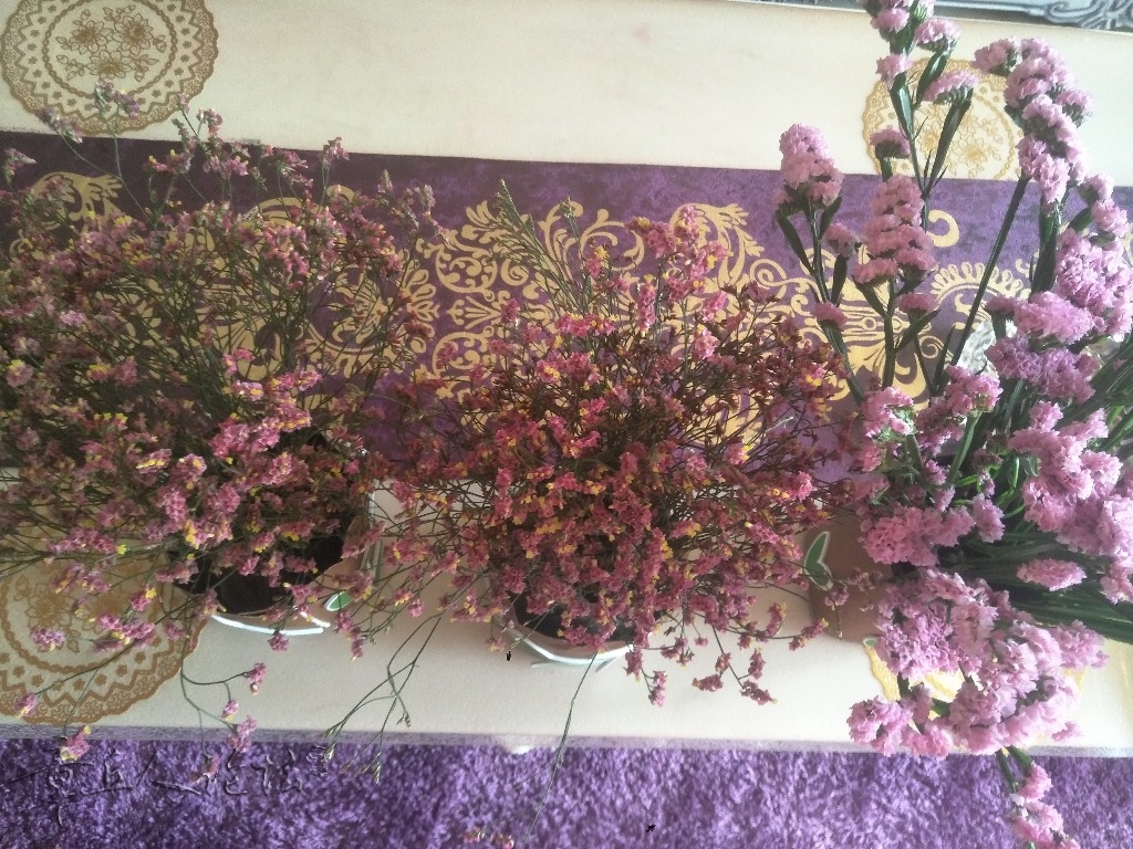 IMG20180326103721.jpg