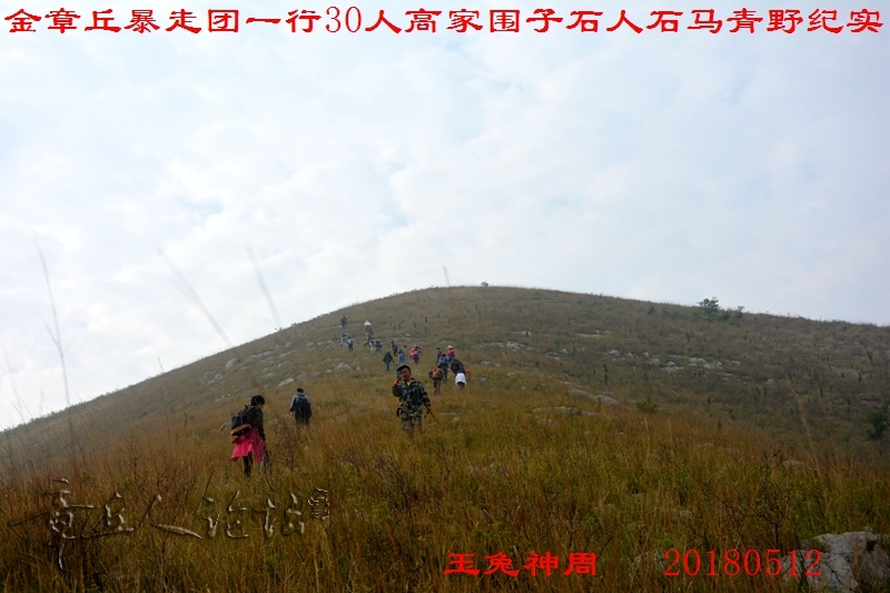 DSC_0045.jpg