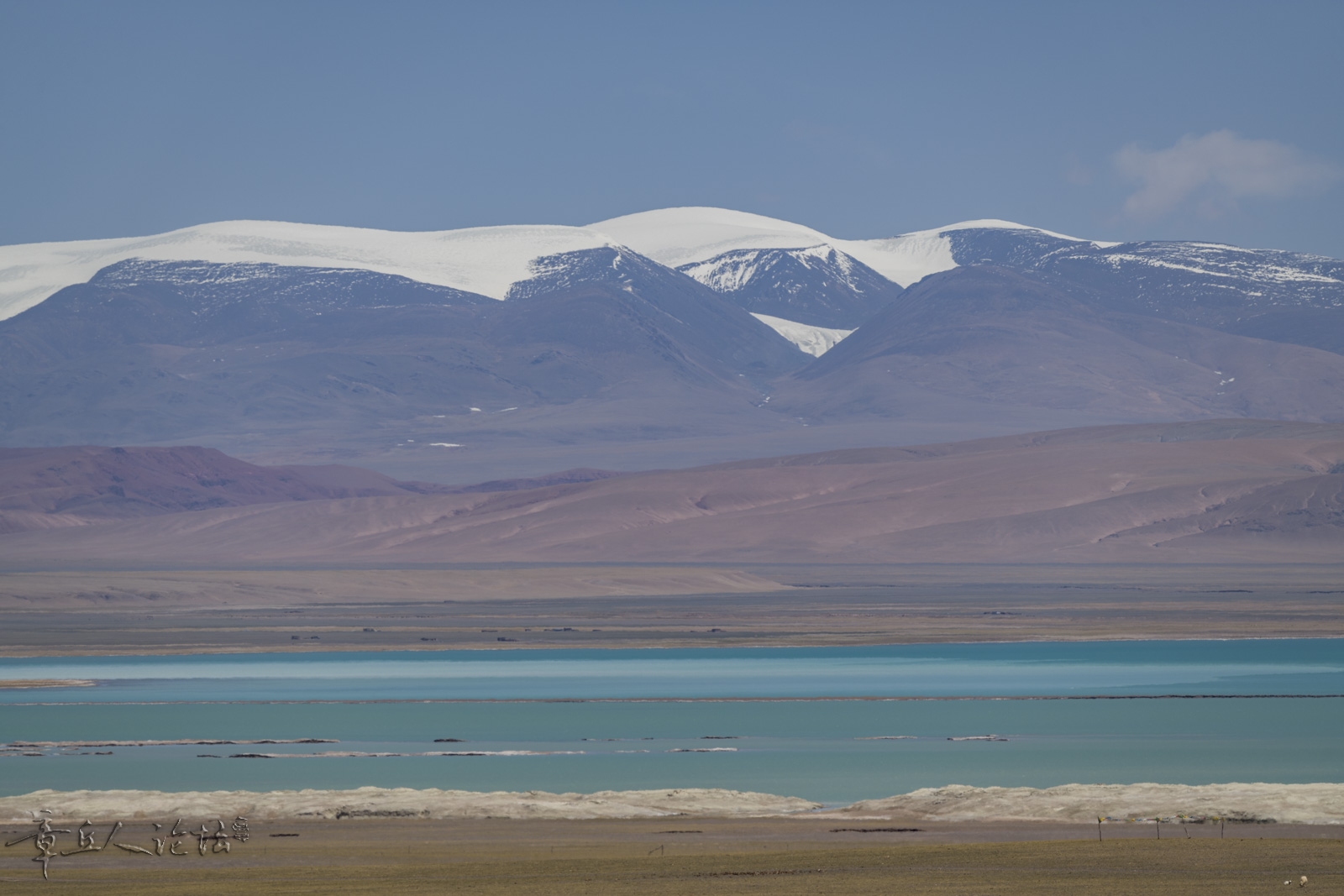 DSC_5204.JPG