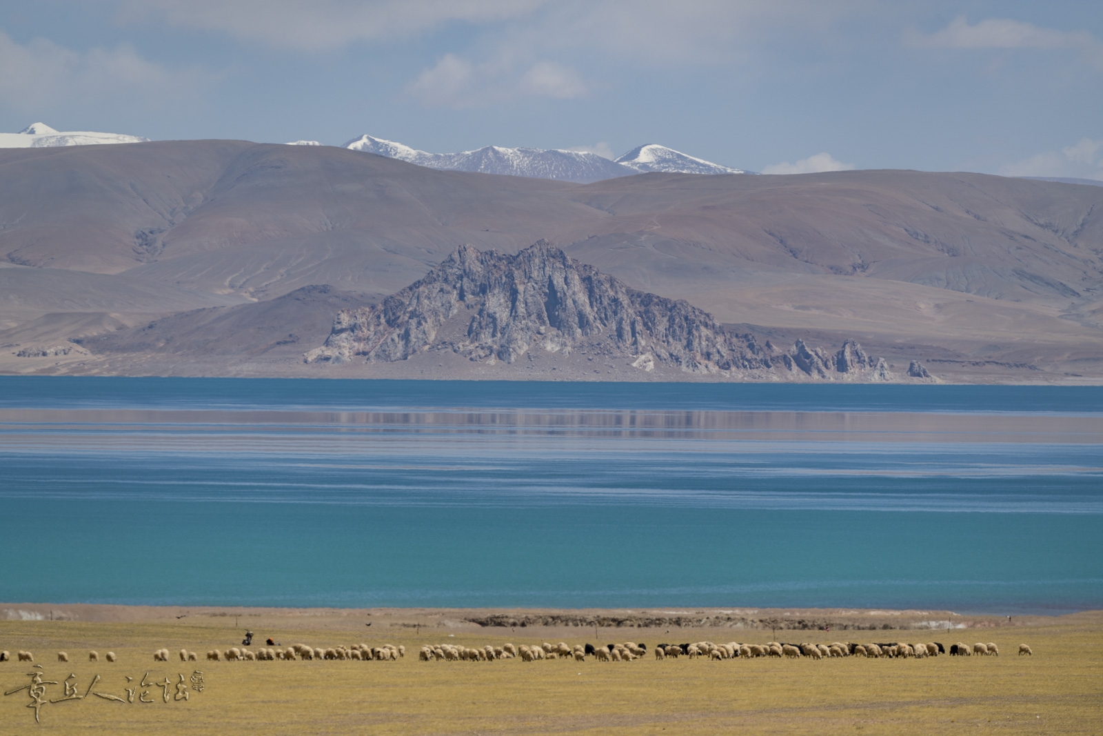 DSC_5217.JPG