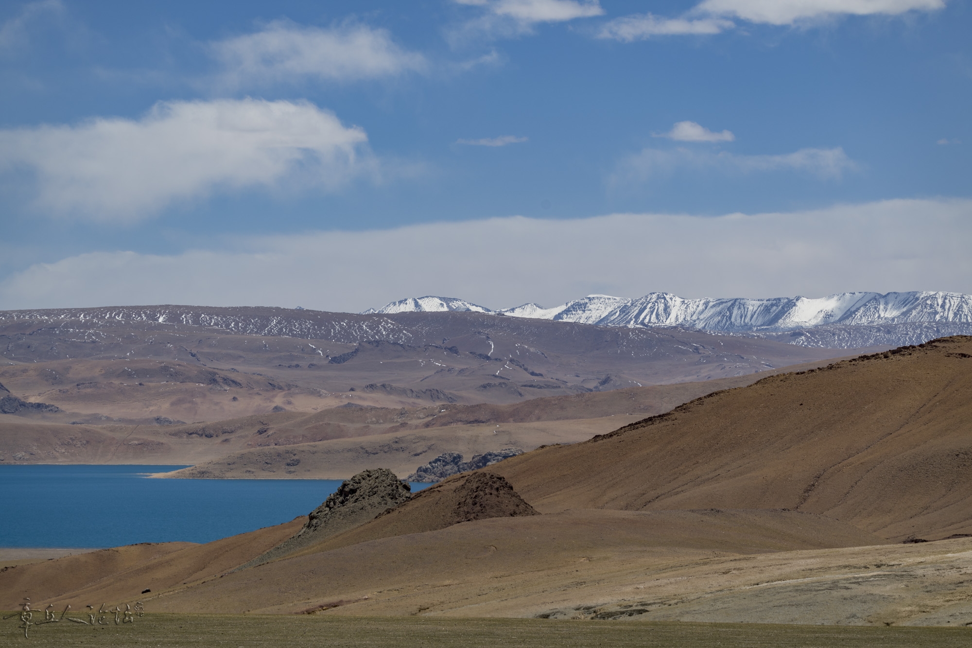 DSC_5227.JPG