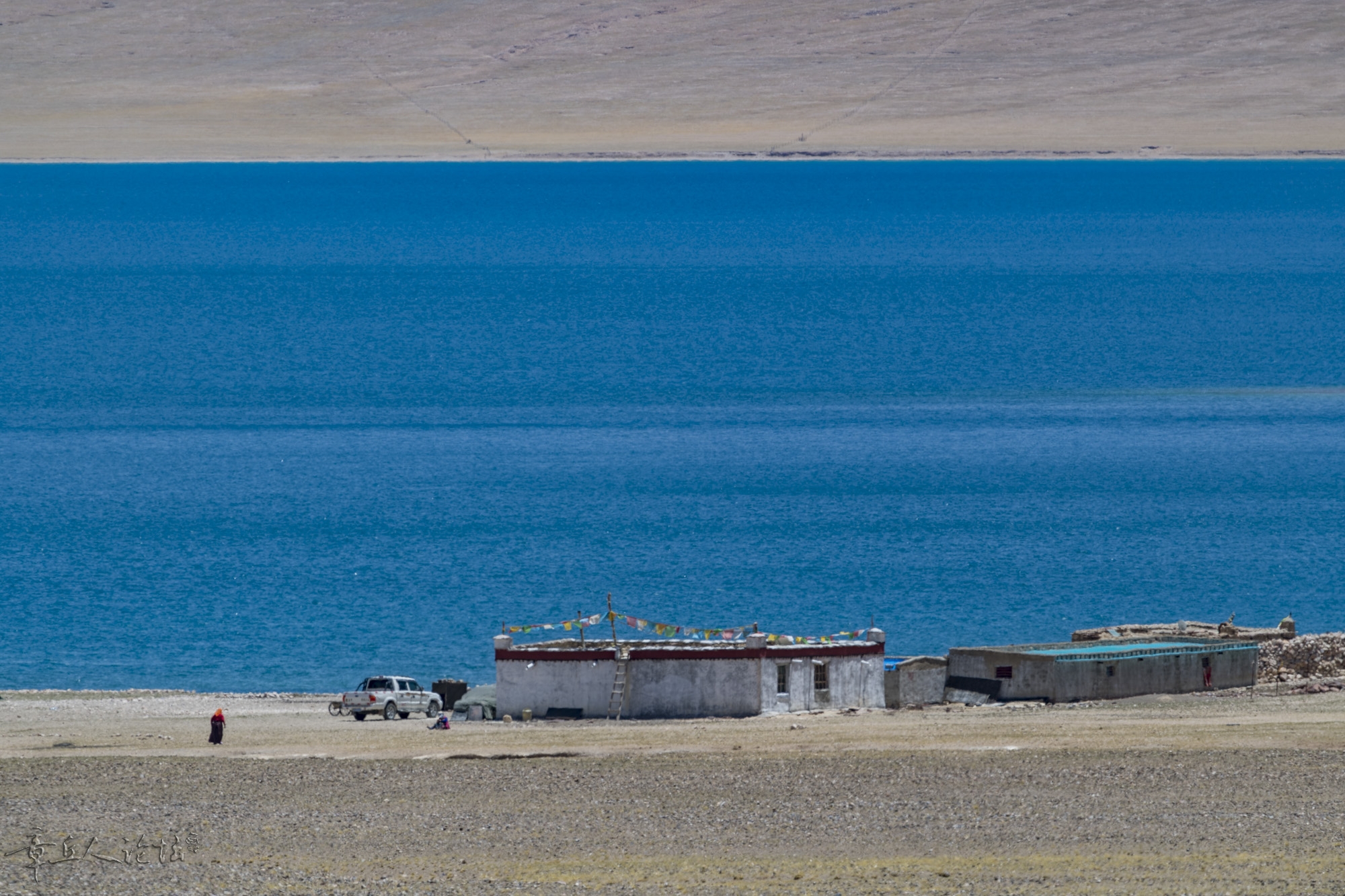 DSC_5233.JPG