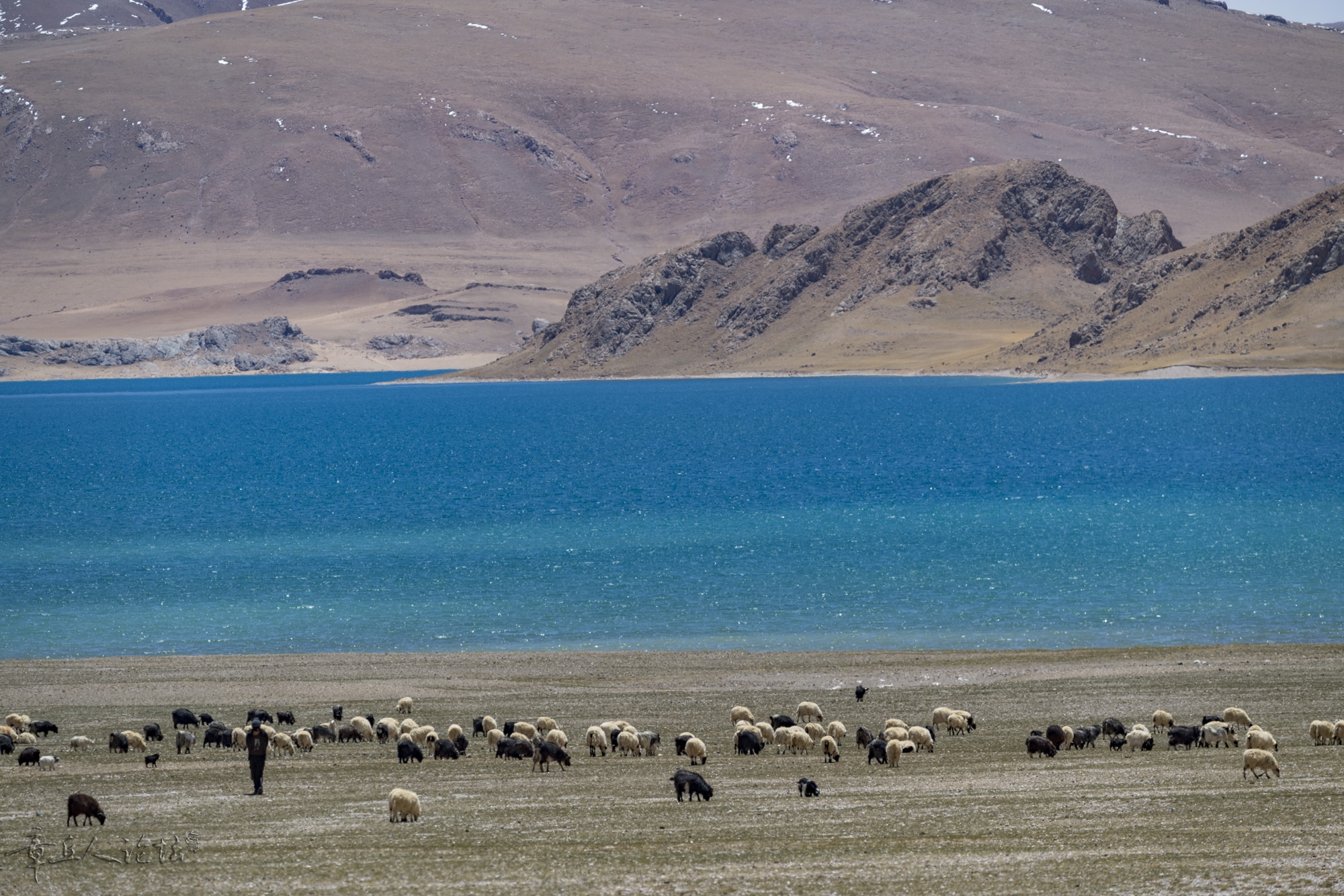 DSC_5240.JPG