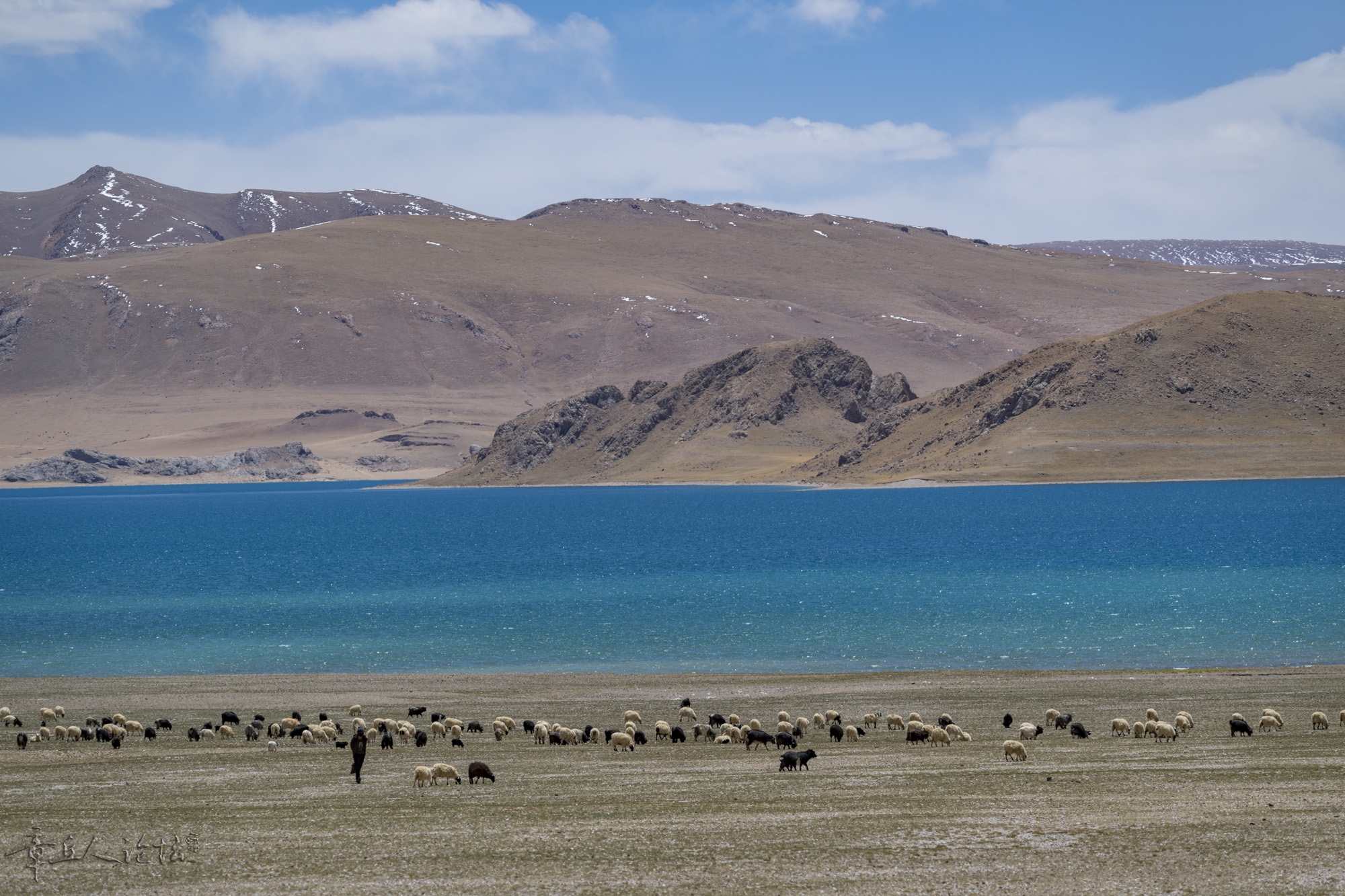 DSC_5243.JPG