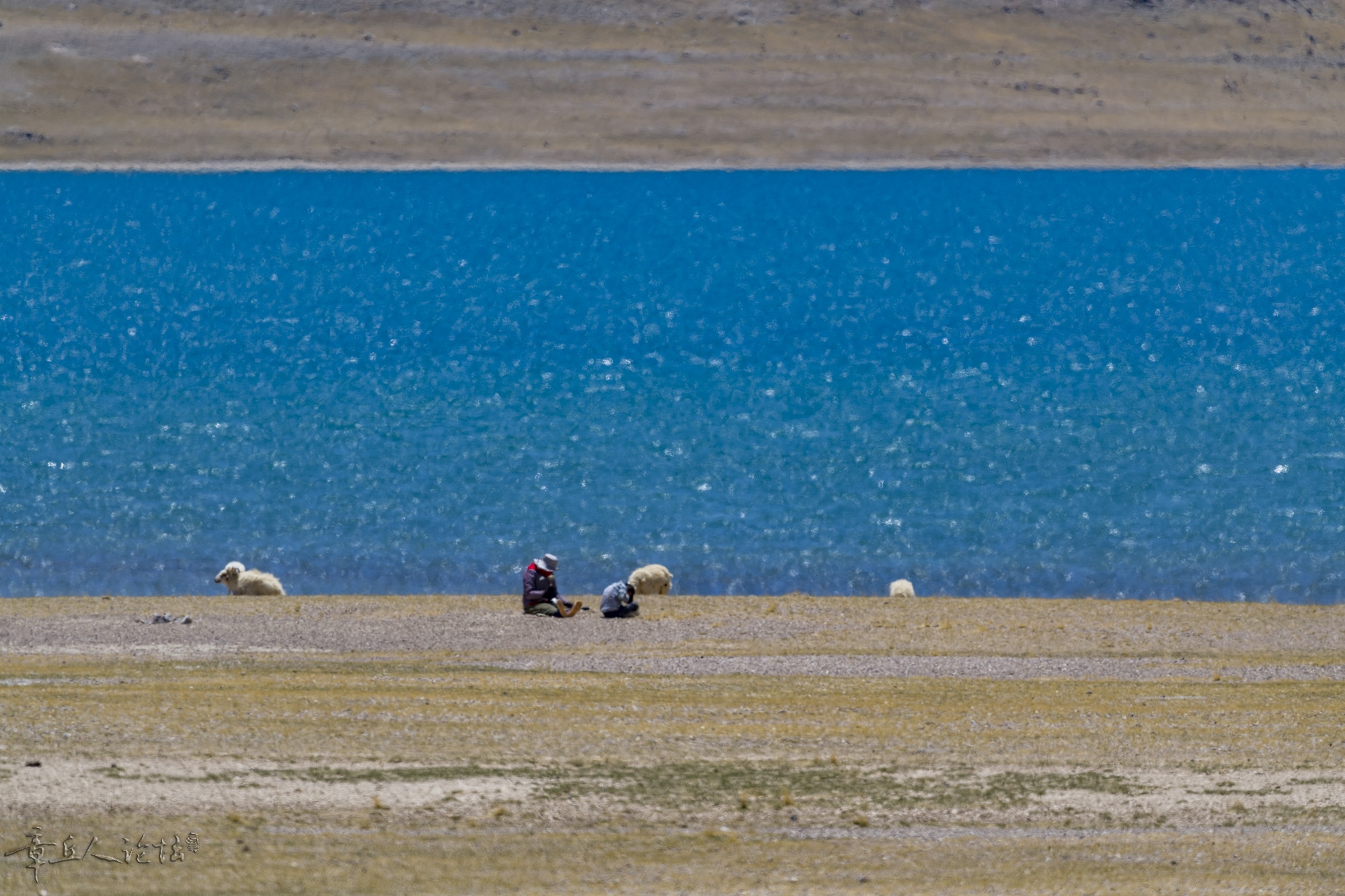 DSC_5247.JPG