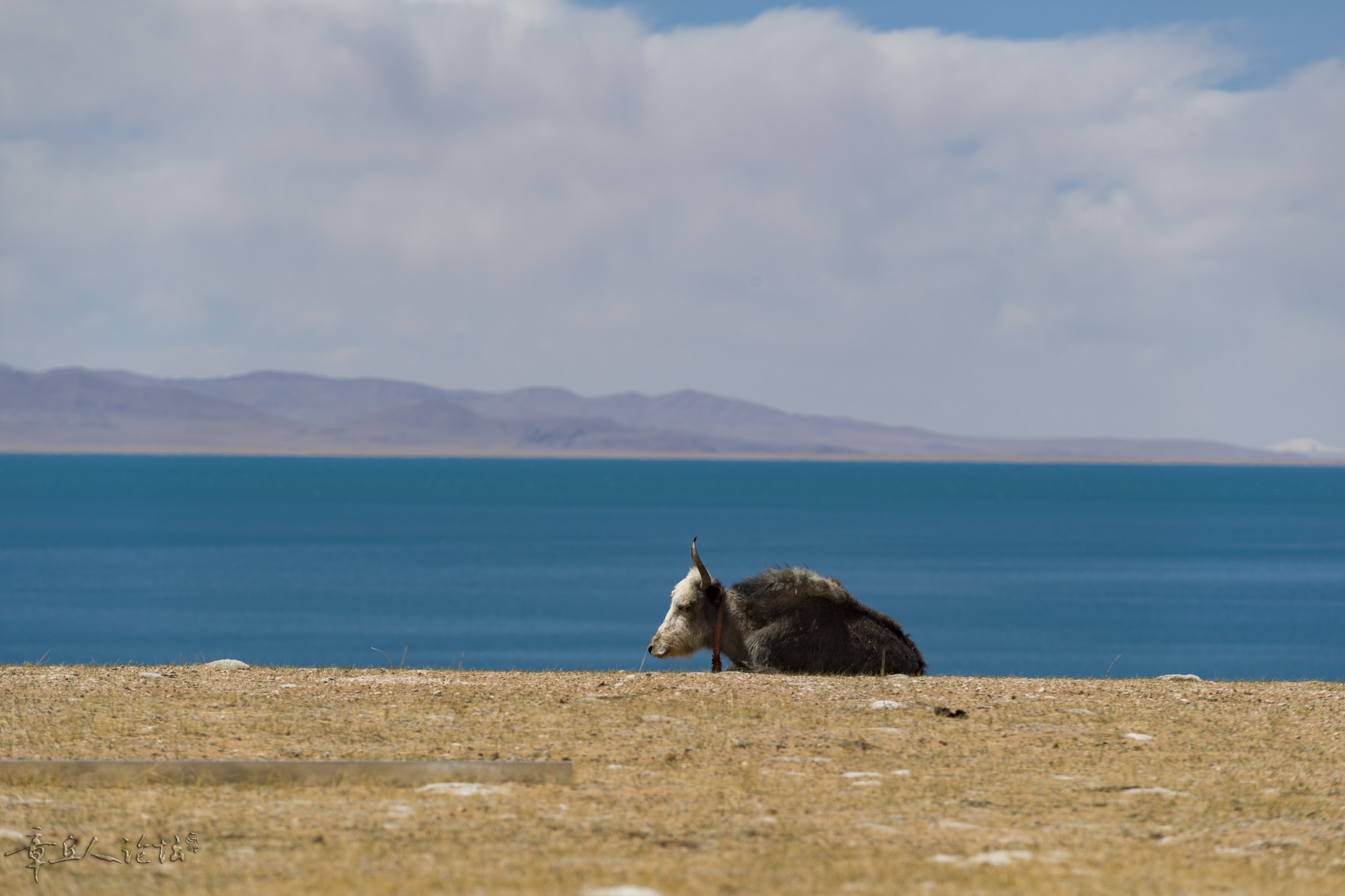 DSC_5299.JPG