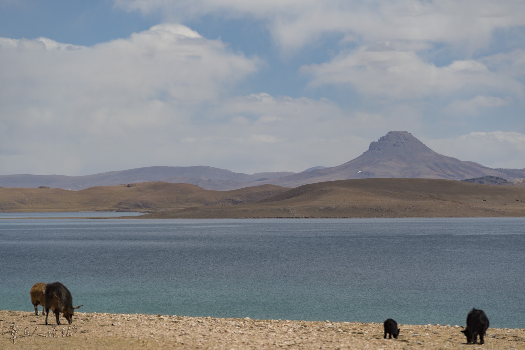 DSC_5305.JPG