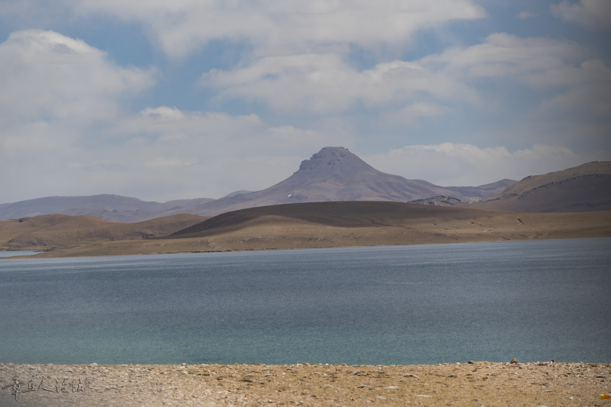 DSC_5313.JPG