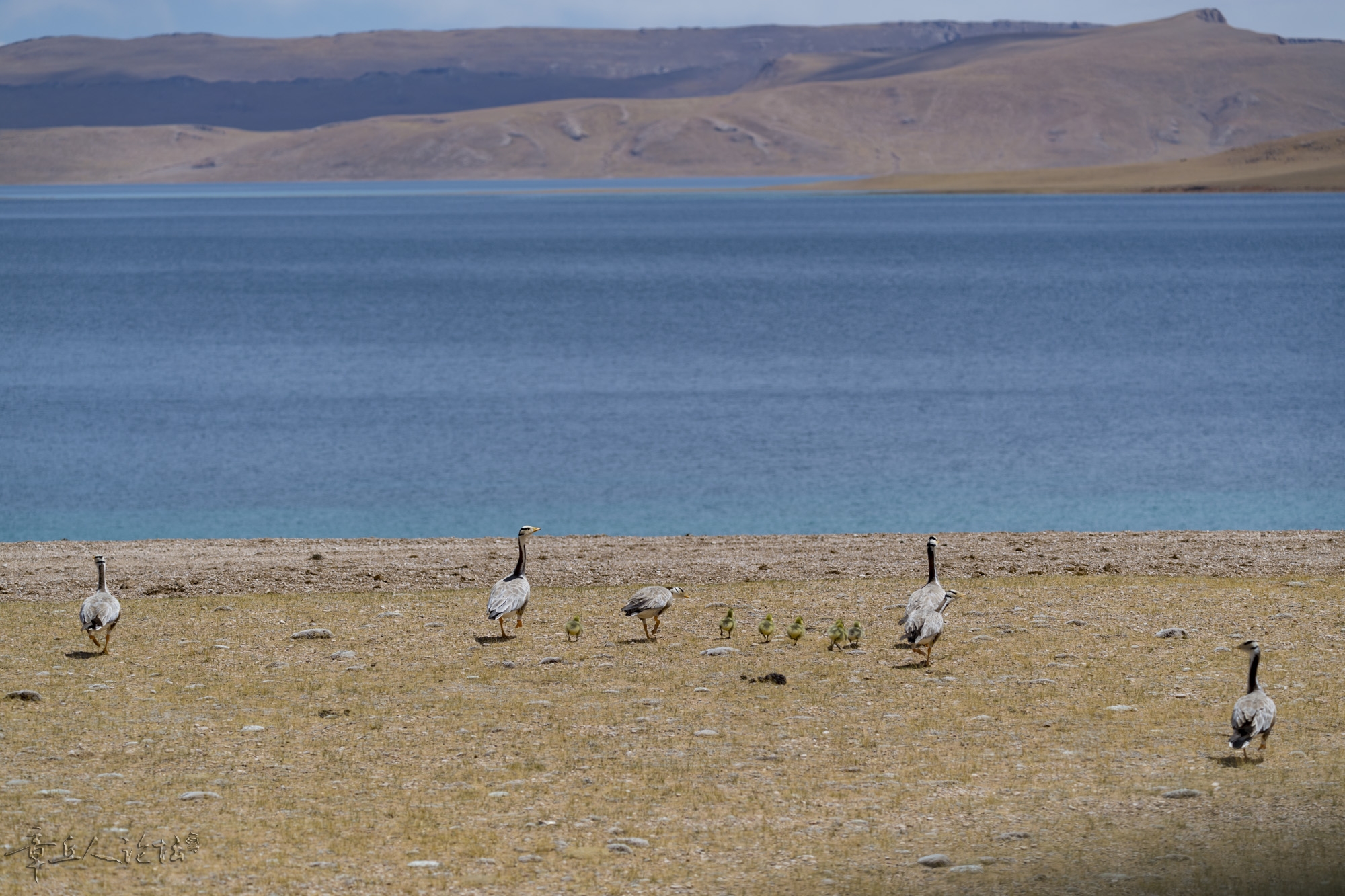 DSC_5274.JPG