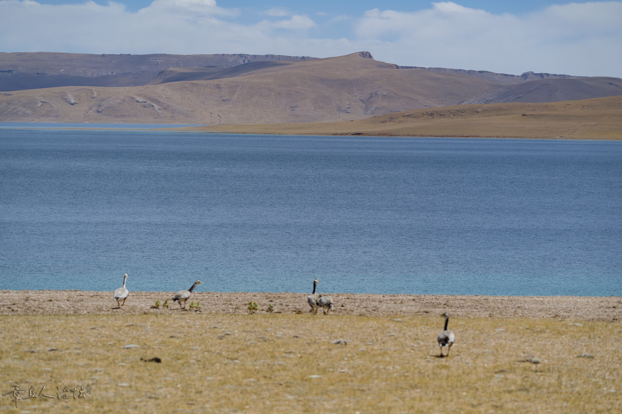 DSC_5280.JPG