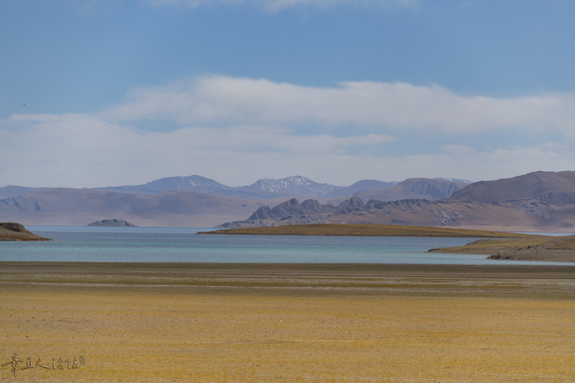 DSC_5322.JPG