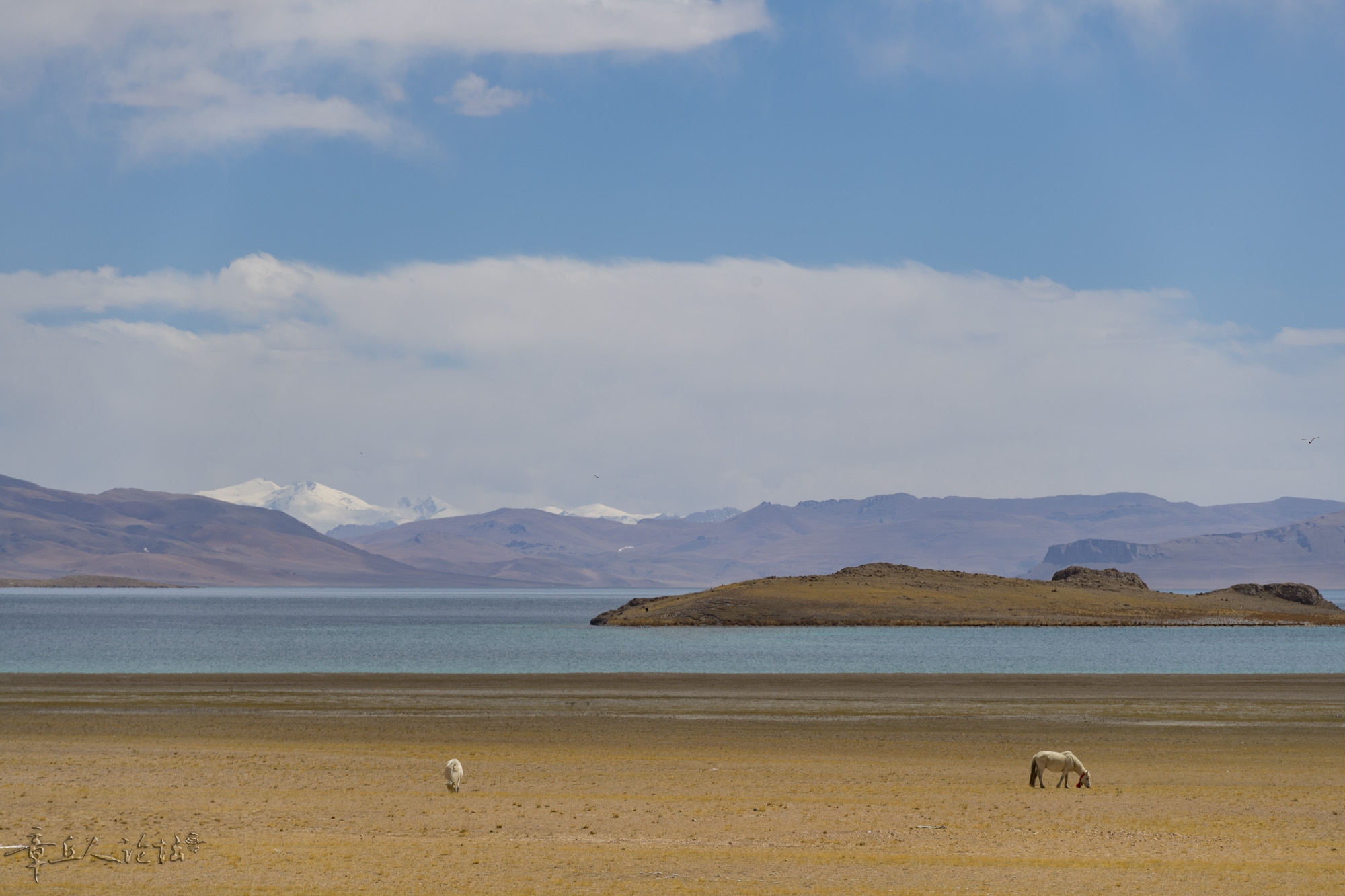DSC_5325.JPG
