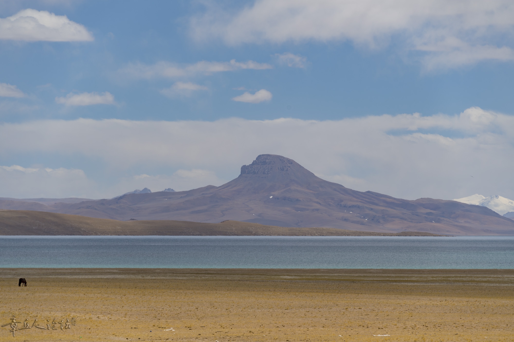 DSC_5326.JPG