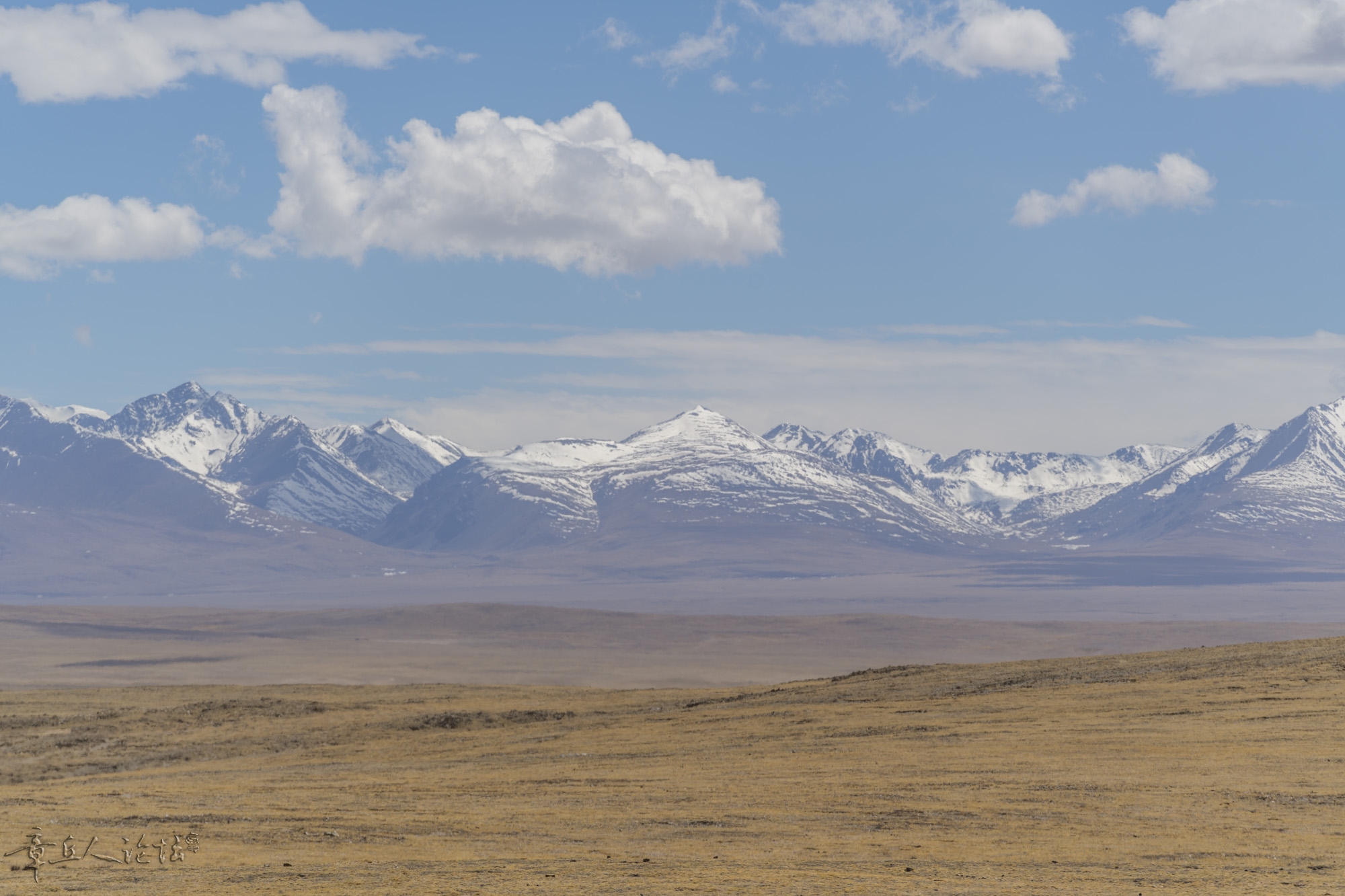DSC_5453.JPG